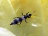 230711 – Photo : Isidro Martinez – Espagne